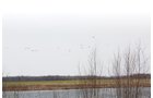Property photo 2 - 194.67 Acres Offered in 2 Tracts